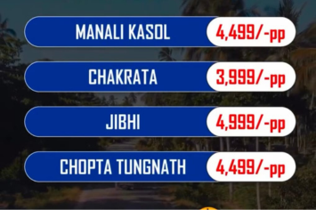 untitled design (41)